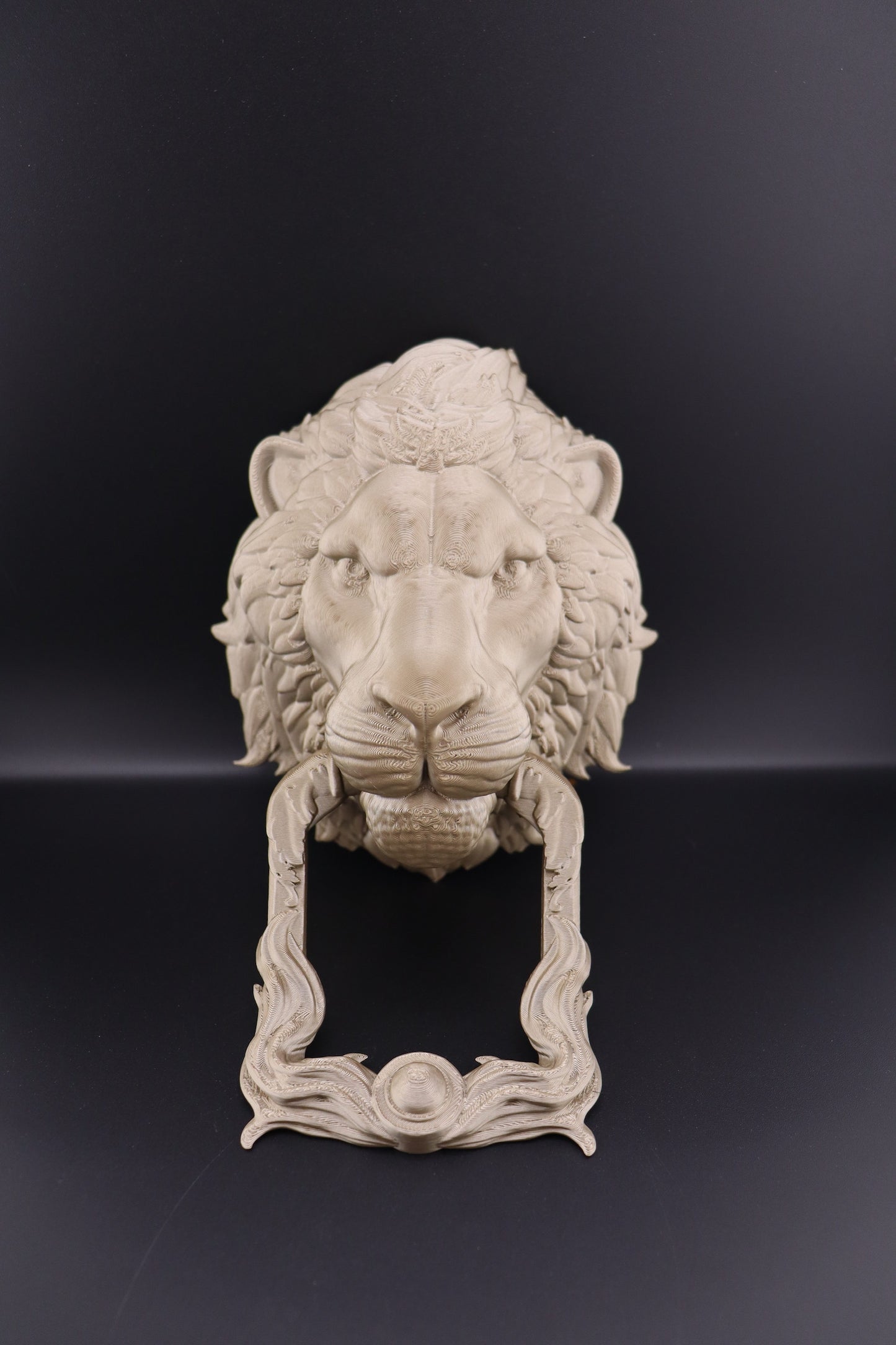 Lion Door Knocker
