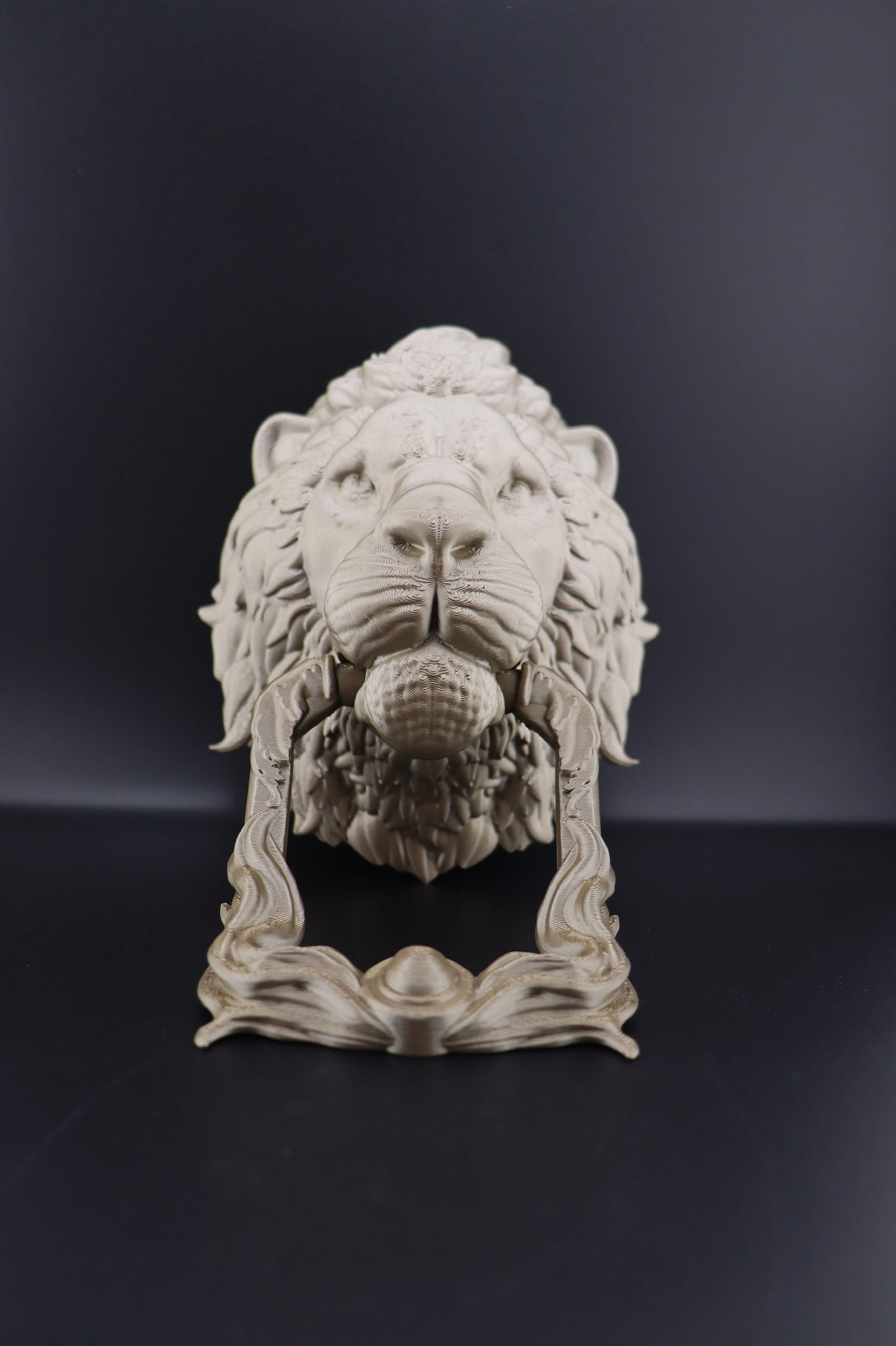 Lion Door Knocker